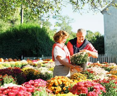 estate planning attorneys in Houston